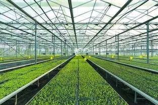 重磅 2018年 国家现代农业产业园 开始申报,如何申请成功