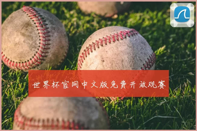 世界杯官网中文版免费开放观赛