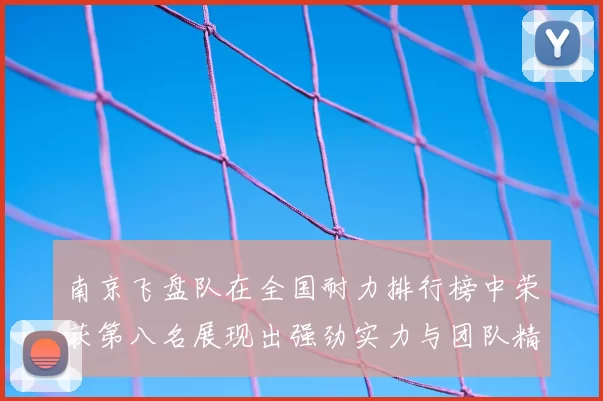 南京飞盘队在全国耐力排行榜中荣获第八名展现出强劲实力与团队精神