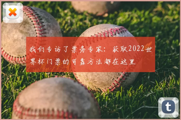 我们专访了票务专家：获取2022世界杯门票的可靠方法都在这里