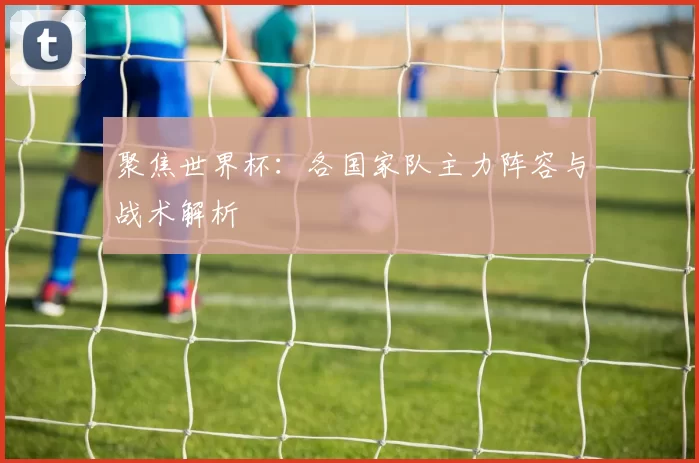 聚焦世界杯：各国家队主力阵容与战术解析