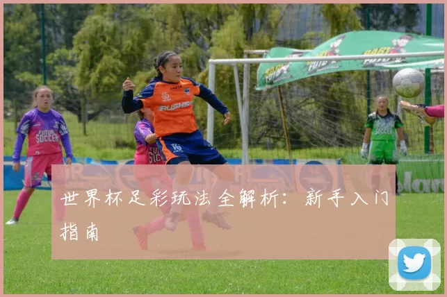 世界杯足彩玩法全解析：新手入门指南