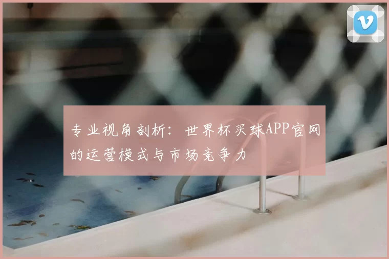 专业视角剖析：世界杯买球APP官网的运营模式与市场竞争力