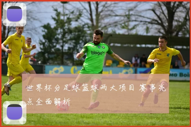 世界杯分足球篮球两大项目 赛事亮点全面解析