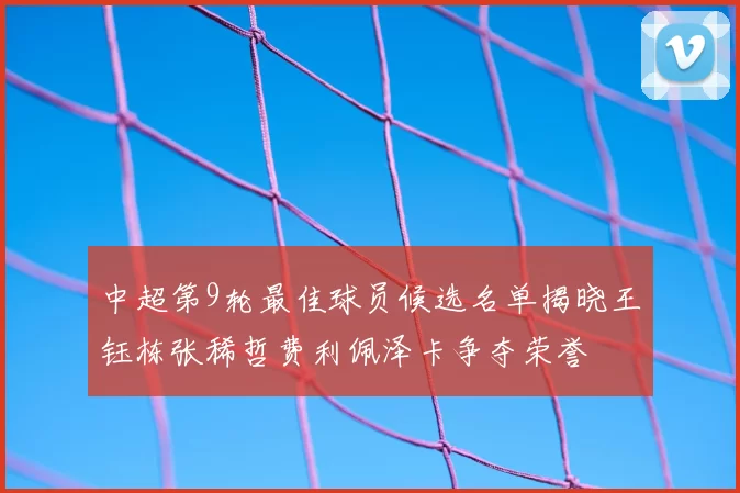 中超第9轮最佳球员候选名单揭晓王钰栋张稀哲费利佩泽卡争夺荣誉