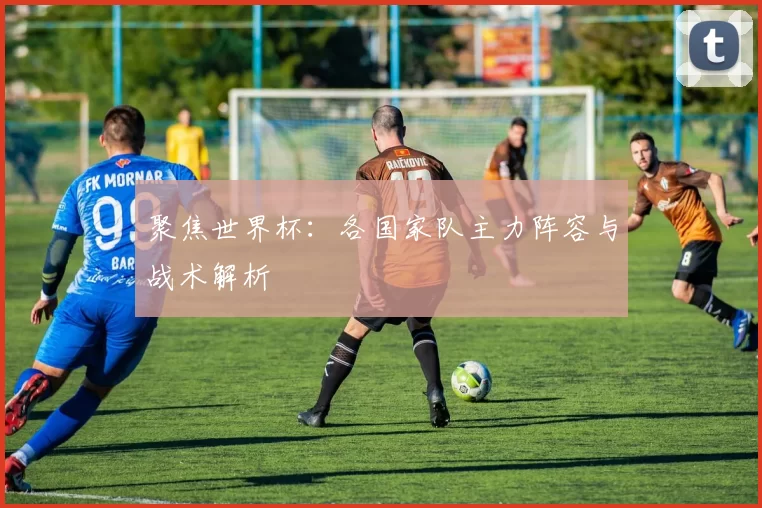 聚焦世界杯：各国家队主力阵容与战术解析