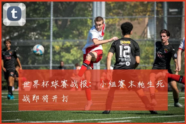 世界杯球赛战报：小组赛末轮生死战即将开打