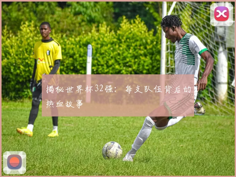 揭秘世界杯32强：每支队伍背后的热血故事