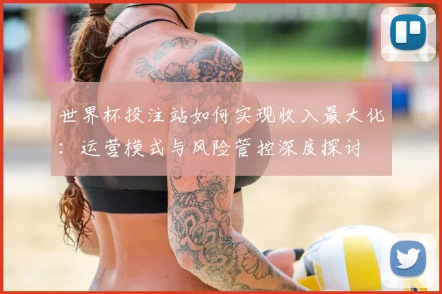 世界杯投注站如何实现收入最大化：运营模式与风险管控深度探讨
