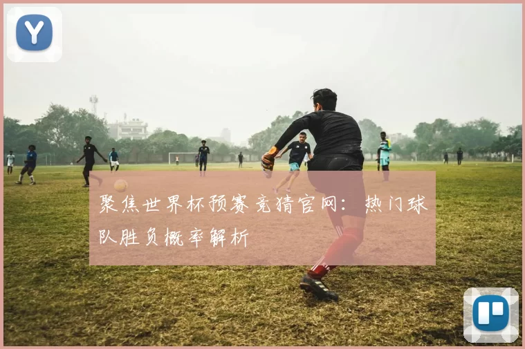 聚焦世界杯预赛竞猜官网：热门球队胜负概率解析